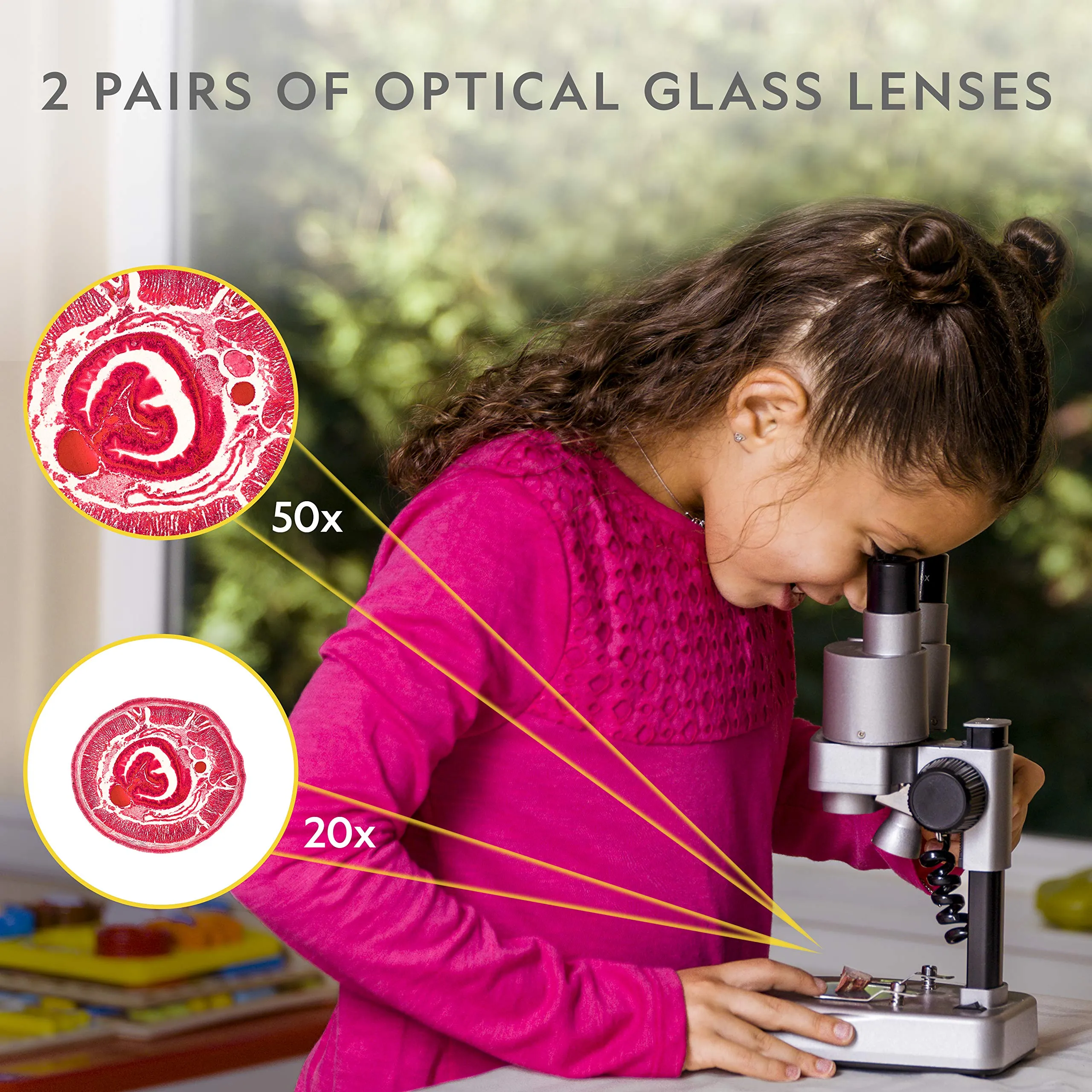 Discover PrecisionView: The Ultimate LED Microscope for Enhanced Clarity and Exploration.