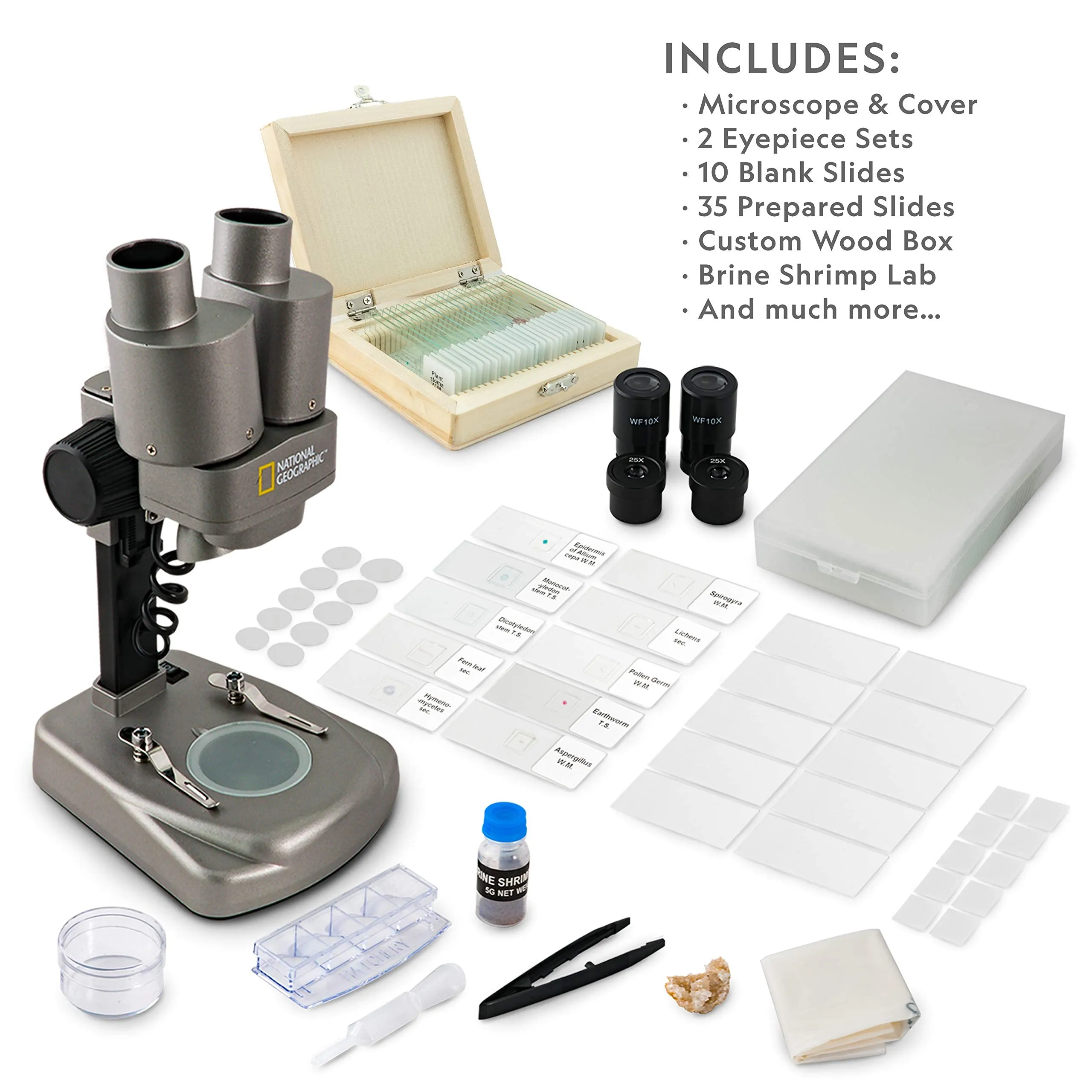 Discover PrecisionView: The Ultimate LED Microscope for Enhanced Clarity and Exploration.