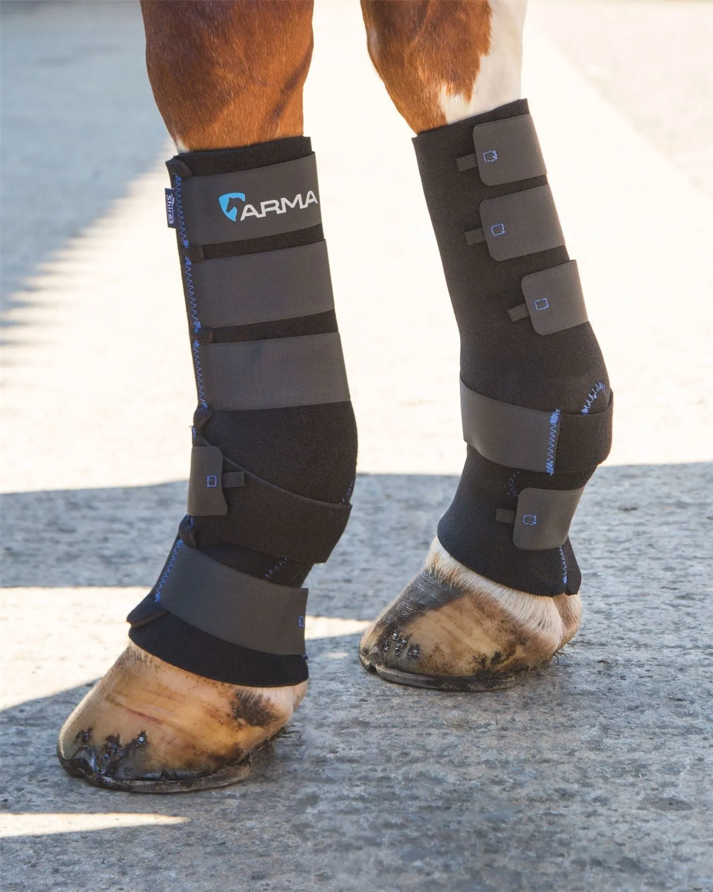 Shires Performance Mud Socks